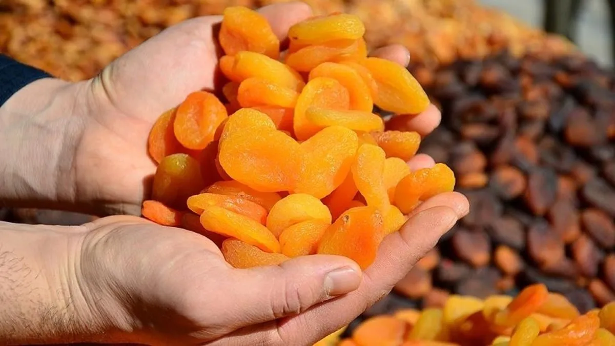 2025'in ilk 9 ayında 1,2 milyar dolarlık kuru meyve ihracatı