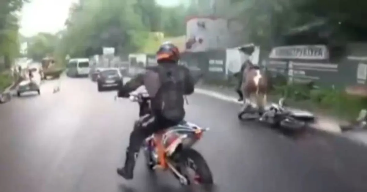 Manevra yapan motosiklet ata çarptı
