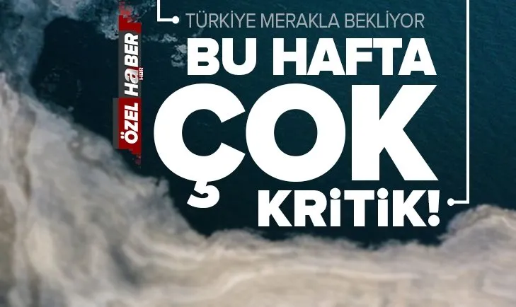 Marmara Denizi'ne kıyısı olan 7 ilde temiz deniz seferberliği! Müsilaj nasıl temizlenecek?