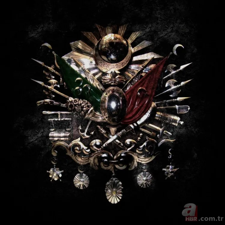 İşte Türklerin soyağacı! Hangi il hangi boydan geliyor? 16