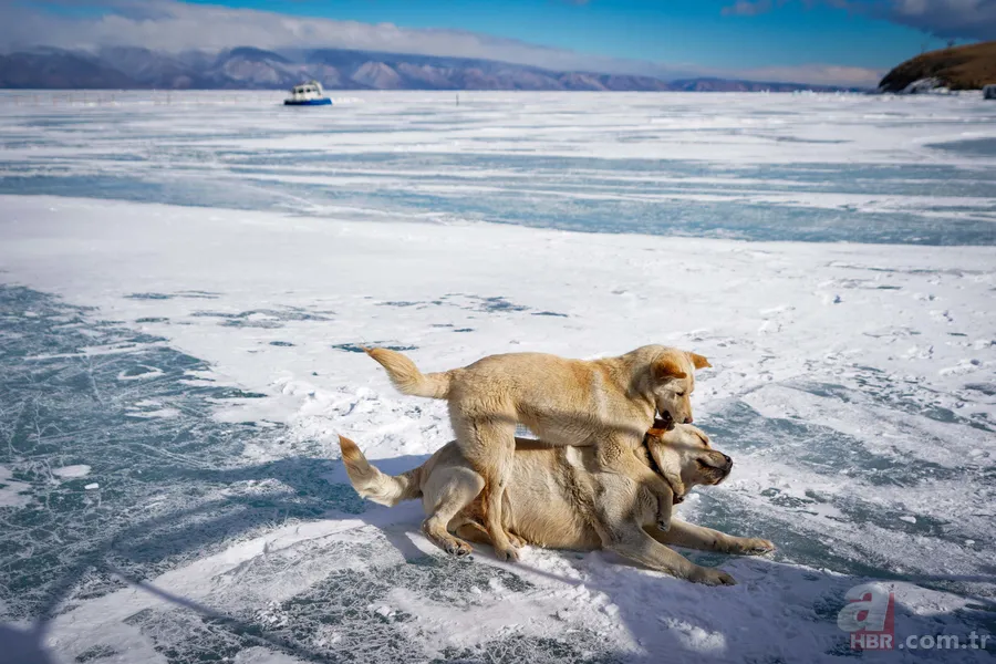 Buzdan dünyalar: En soğuk 7 şehir ve şaşırtıcı hayatlar 2
