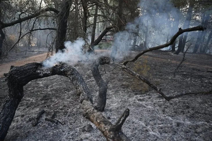 Çanakkale’de büyük orman yangını! Alevlerle mücadele kesintisiz sürüyor! 10 köy boşaltıldı