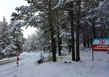 Meteoroloji'den son dakika hava durumu açıklaması! Donacağız! Kar uyarısı geldi | 25 Kasım 2020 hava durumu