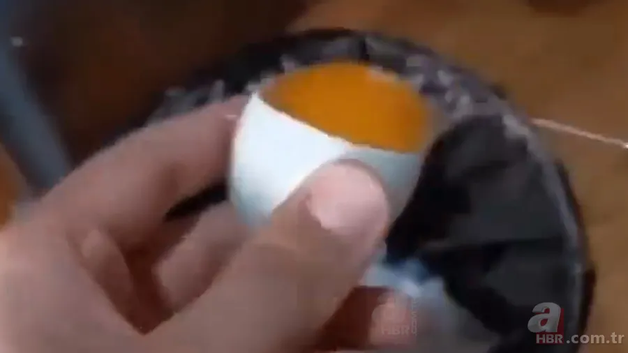 İşte civcivin yumurta içindeki gelişimi 🐣 İğne ile enjekte etti gün gün görüntüledi 🥚 5