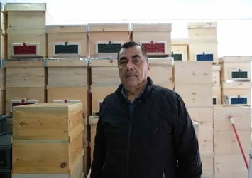 Arı ölümleri korkutuyor