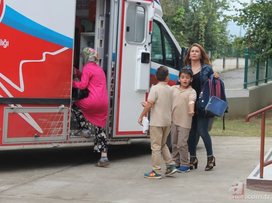 Okul bahçesinde yuva yapan arılar öğrencilere saldırdı 8