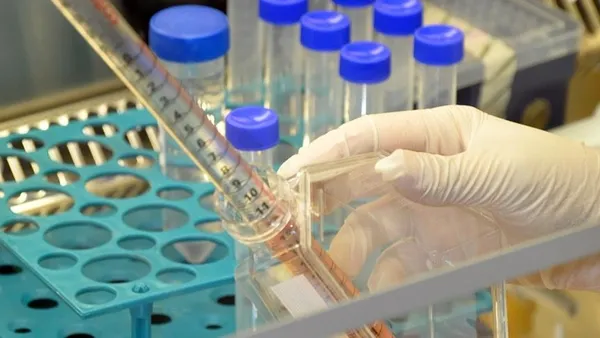 Çin’de böcek hücrelerinden corona virüs Covid-19 aşısı geliştirildi! Klinik deneme için onay çıktı