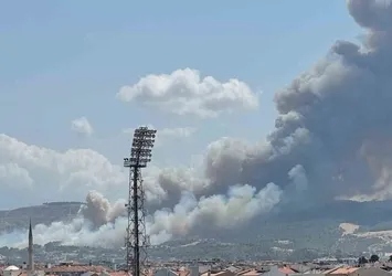 Çanakkale'de orman yangını