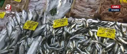 Balık tezgahlarının bereketi arttı! Balık fiyatları nasıl? Hamsi ne kadar? Fiyatlar düşecek mi? Denizlerin canavarı etkisi
