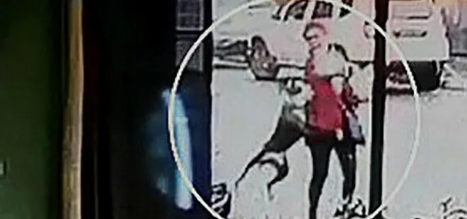 Tekirdağ'da pitbull dehşeti! Kadın ve köpeğine saldırdı