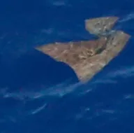 Kayıp Malezya Uçağı MH370’in yerini gösterdi