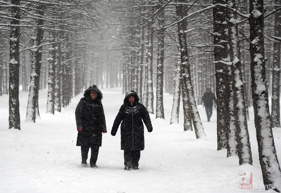 Güneşe aldanmayın haritaya yansıdı: Kar, buzlanma, çığ alarmı! Meteoroloji 23 Ocak Perşembe hava durumu 5