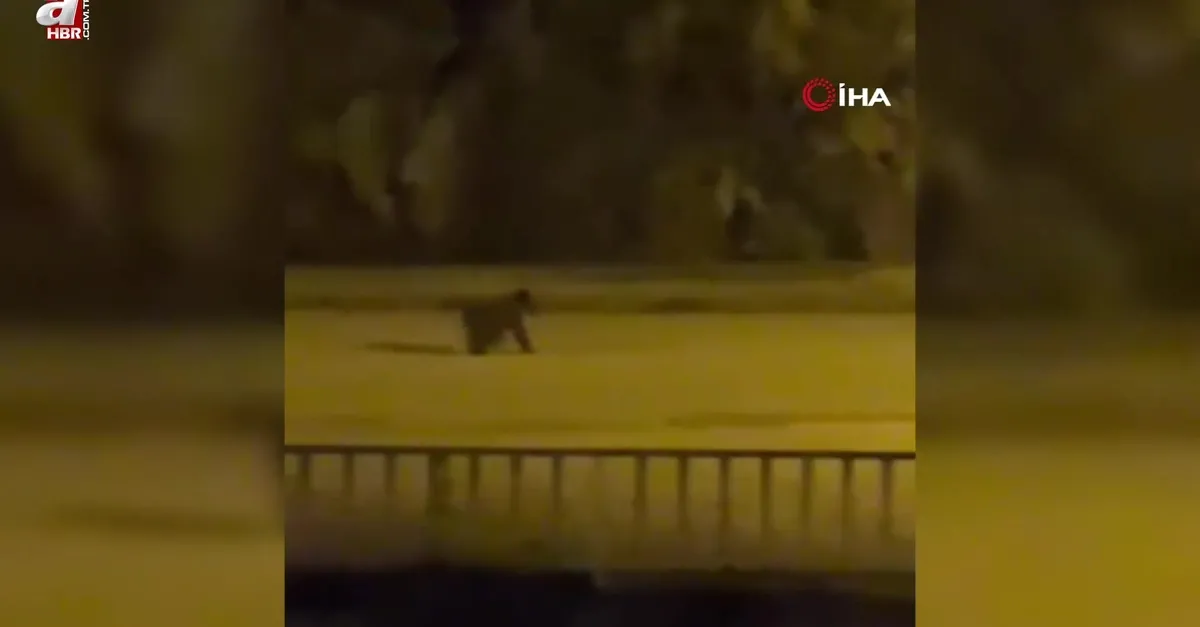 Yolunu şaşırıp ilçe merkezine indi