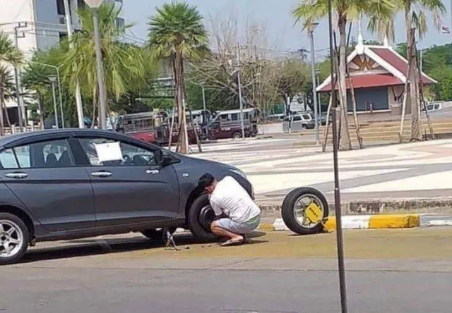 Hiç beklemediği bir anda arıların saldırısına uğradı! Genç kadın ne yapacağını bilemeden çığlık çığlığa koşmaya başladı