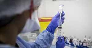 Domuz gribi 12 günde 56 can aldı