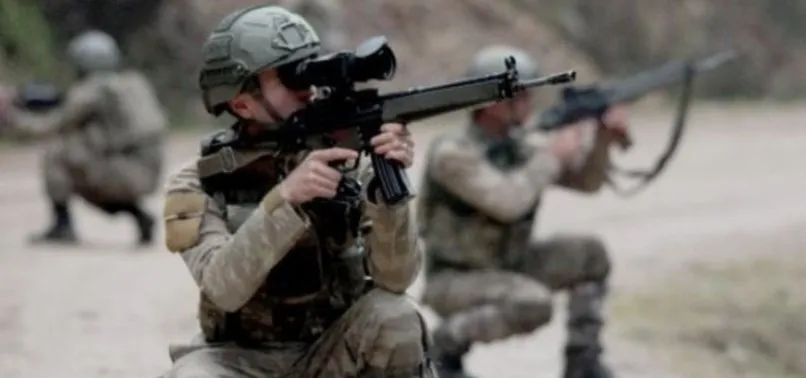 PKK'nın aranan isimlerinin cezası tek tek kesiliyor
