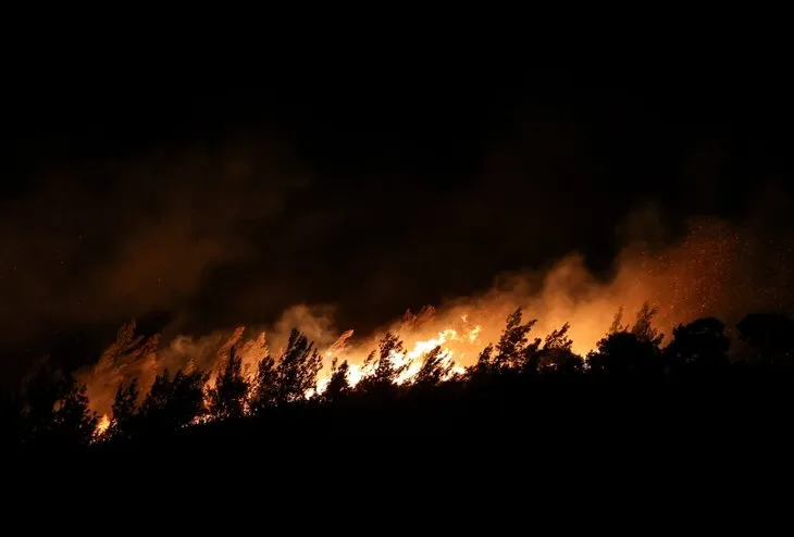 İzmir Foça'da orman yangını! Ekipler 11 saat mücadele etti