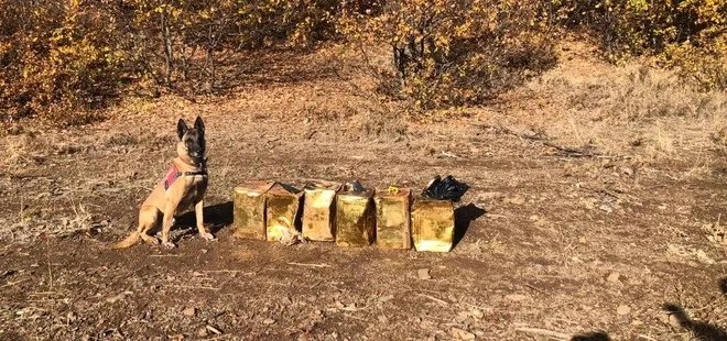 Son dakika: Bitlis'te 100 kilogram patlayıcı madde ele geçirdi