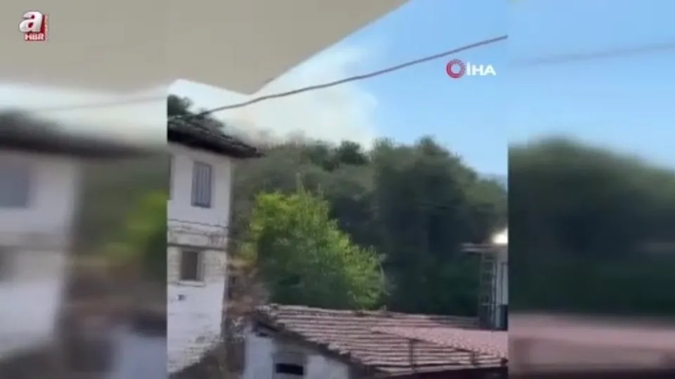Aydın’da orman yangını