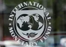 IMF virüs için 1 trilyon dolar ayırdı