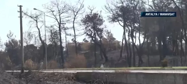 Türkiye’nin ciğerleri yandı! A Haber ekibi yangının çıktığı noktada