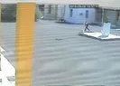 KKTC’de skandal! Polisler Türk bayrağını indiren Rum’u arıyor