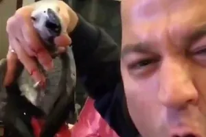 İşkence gören papağana bakanlık sahip çıktı