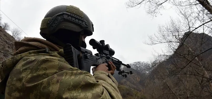 Hakkari'de PKK'lı 2 terörist teslim oldu