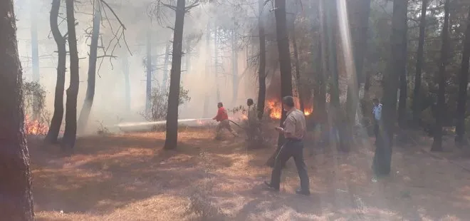 Aydos Ormanı’ndaki yangının nasıl ve kim tarafından çıkarıldığı belirlendi