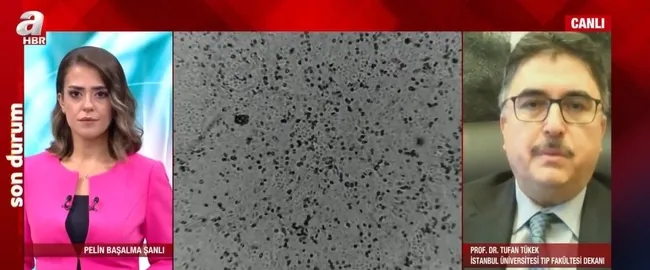 Koronavirüs aşısı aralık ayında Türkiye’de! Peki ne kadar etkili olacak? Uzman ismi A Haber’de değerlendirdi