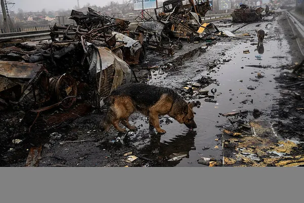 Ukrayna sokaklarında onlarca ceset! Elleri bağlı infaz edilen siviller var! Rusya yalanlıyor Ukrayna suçluyor