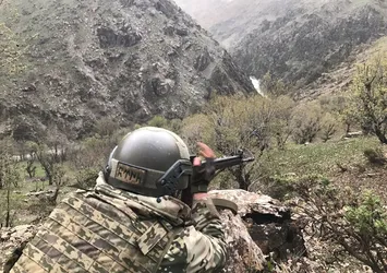 Kulp'taki operasyon tamamlandı