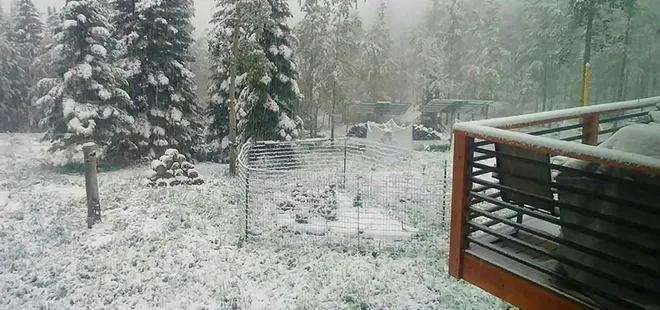 ABD’de kar fırtınası şoku!