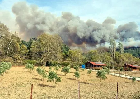 3 ilde orman yangını! Muğla ve İzmir kontrol altında! Çanakkale'deki yangına lodos etkisi! Vali uyardı: Teyakkuzda olun