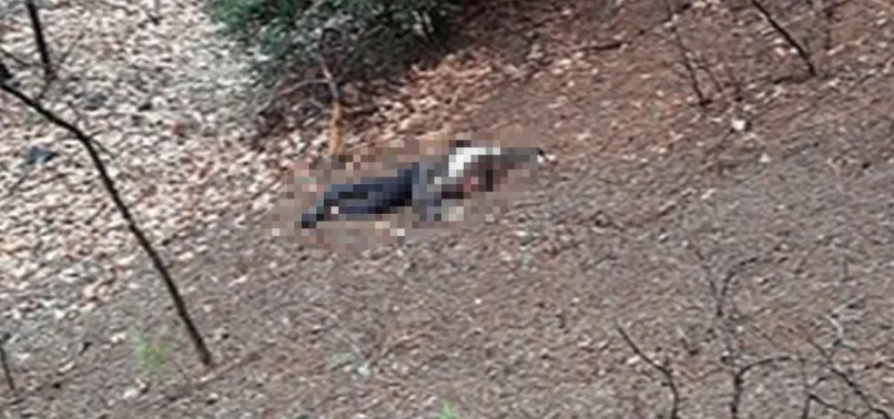 Adana’da korkunç olay! Kuma olmayı reddeden kadını uçurumdan atıp, başını taşla ezdi