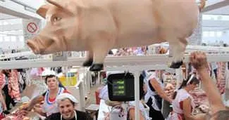 Yıllardır, tavuk diye domuz yedirmişler