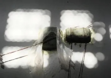 Sadece adı Özgür! Esad rejiminin korkunç yüzü