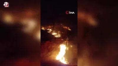 Gazipaşa’da ormanlık alanda yangın