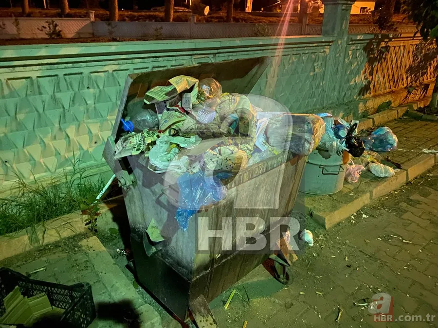 CHP'li Sultanhisar Belediyesi'ne tepki! Çöp yığınları vatandaşları isyan ettirdi | Koku nedeniyle bahçede oturamaz hale geldiler 4