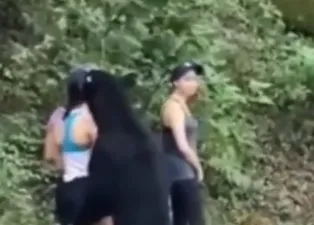 Paylaşım rekoru kıran görüntüler! Genç kadın ayı saldırısından böyle kurtuldu🐻
