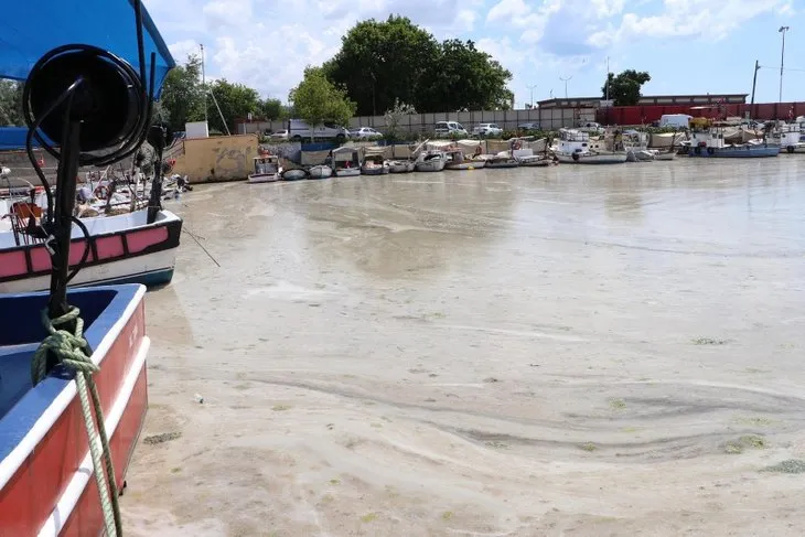 Lodos kabusu geri getirdi! Tekirdağ sahili yeniden müsilajla kaplandı