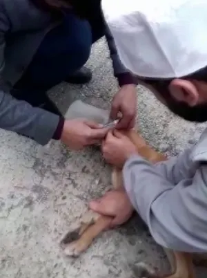 Kafası bidona sıkışan köpeği imamlar kurtardı - 2