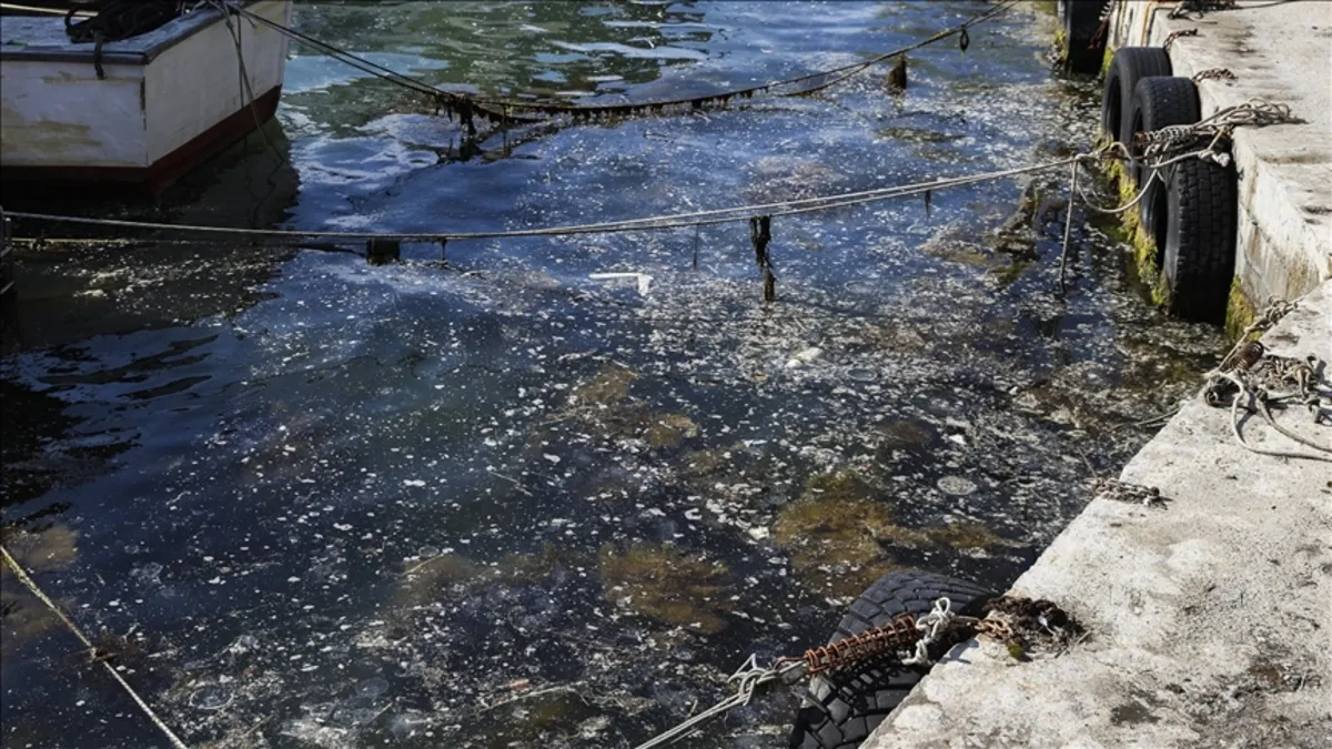 Boğaz’da Müsilaj alarmı! Oltalara yapışıyor ağları parçalıyor…