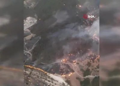 İzmir Buca’da orman yangını