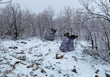 Son dakika | Diyarbakır'da Eren Kış-31 operasyonu başladı! Yüzlerce personel peşlerinde
