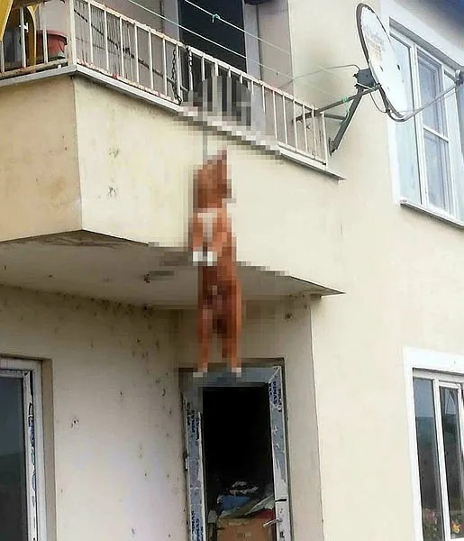 Edirne’de korkunç olay! Köpeği balkona bağlayıp ölümüne neden oldular - 1