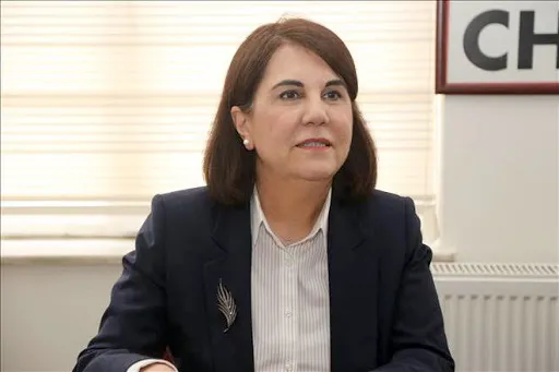 son-dakika-chpligaye-usluer-partisinden-istifa-etti-1620205079108.jpg Son dakika: CHP'li Gaye Usluer partisinden istifa etti - 8