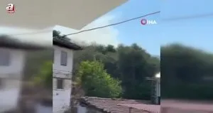Aydın’da orman yangını