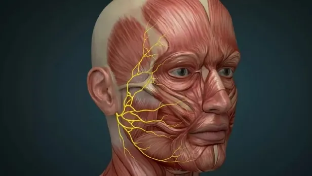 ramsay-hunt-sendromu-ne-demek-tedavisi-var-mi-ilyas-yalcintasin-hastaligi-ramsay-hunt-sendromu-neden-olur-beli-1702050343283.jpeg Ramsay Hunt sendromu ne demek, tedavisi var mı? İlyas Yalçıntaş'ın hastalığı Ramsay Hunt sendromu neden olur, belirtileri neler? - 1