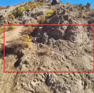 Belgeselleri aratmayan görüntüler🎥